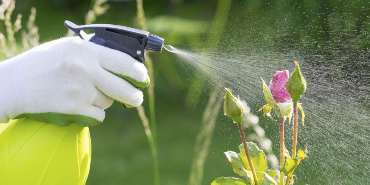 tipos-de-insecticidas-para-jardineria-1280x720x80xX